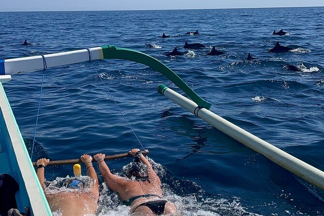 Bali : Dolphin Sunrise Experience Tour Private All Inclusive - A 4:30 a.m. start for Lovina’s dolphins