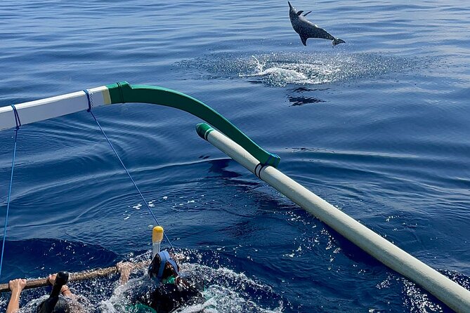 Bali : Dolphin Sunrise Experience Tour Private All Inclusive - Who will get the most from this day