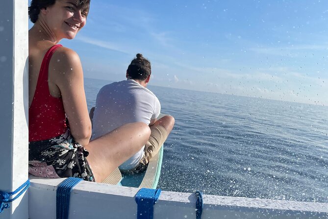 Bali : Dolphin Sunrise Experience Tour Private All Inclusive - Three hours around Aling-Aling Waterfall