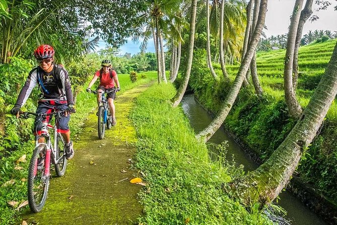 Bali Downhill Cycling and White Water Rafting - From Ubud to Mount Batur by Morning