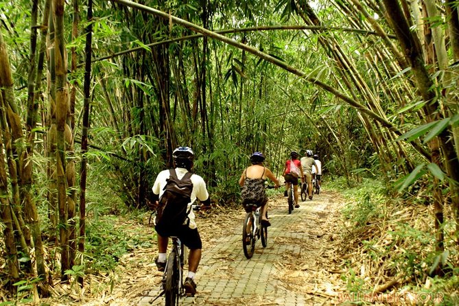 Bali Downhill Cycling and White Water Rafting - What the $100 Price Really Covers