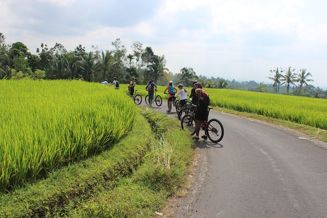 Bali Downhill Cycling and White Water Rafting - The Pace, Physical Demand, and Comfort