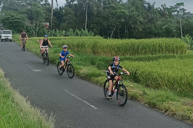 Bali Downhill Natural Cycling Tour & visit Volcano - Lunch at Banjar Laplapan