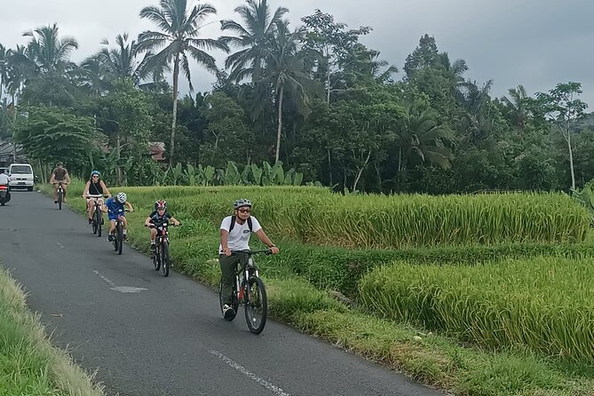 Bali Downhill Natural Cycling Tour & visit Volcano - The guides are a major part of the experience