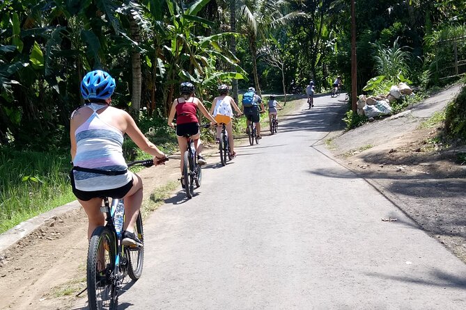 Bali Downhill Natural Cycling Tour & visit Volcano - Where you stay changes the value