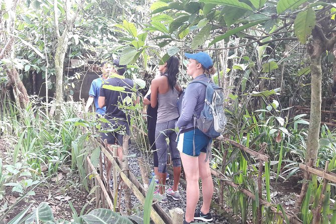 Bali Eco & Educational Cycling Tour - A family day with sensible safety support