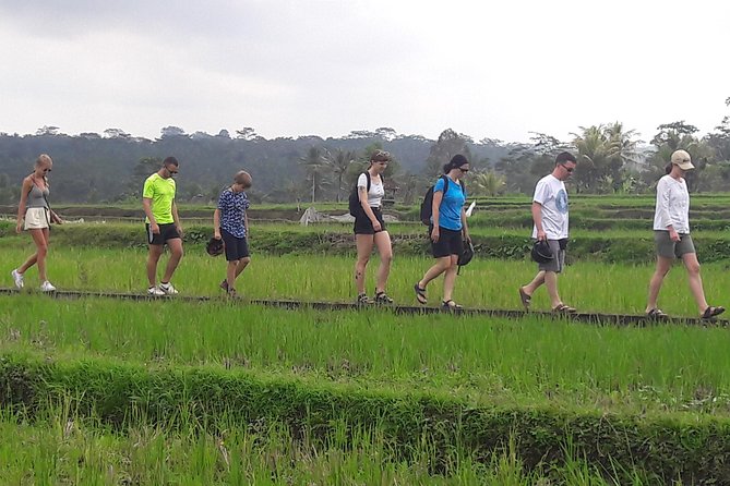 Bali Eco & Educational Cycling Tour - What the $48.87 price really covers