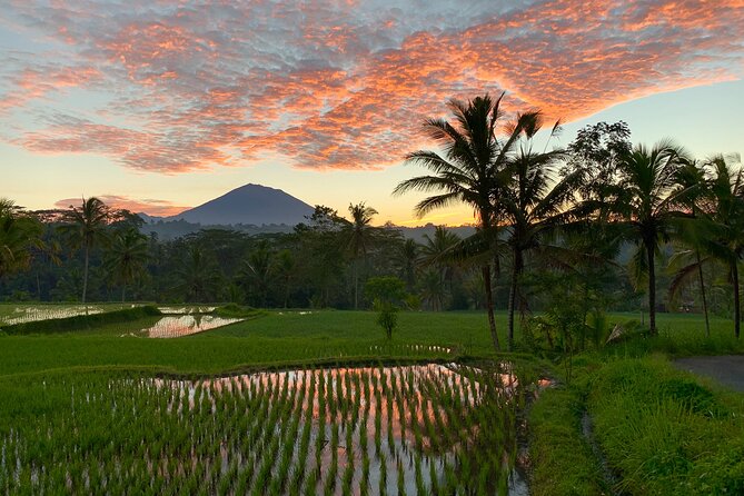 Bali Full Day Photography Tour - Who will get the most from this tour?
