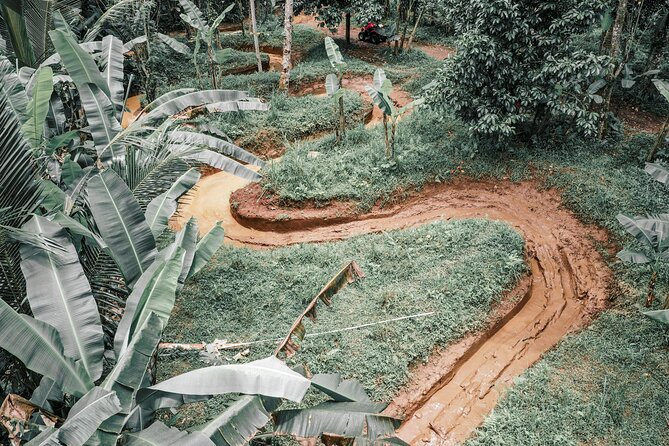 Bali: Gorilla Face ATV Bali Ubud Adventure with Lunch - A lookout and the changing views over the jungle
