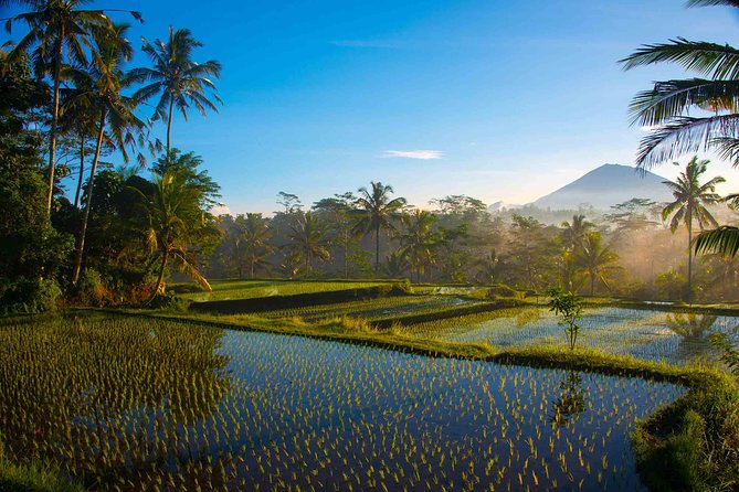 Bali Half Day Photography Tour - Why the 5:30 am Start Matters