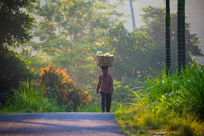Bali Half Day Photography Tour - What the Four-Hour Format Really Delivers