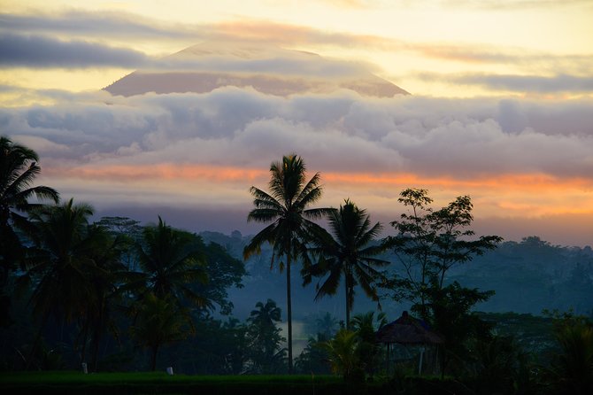 Bali Half Day Photography Tour - Who Should Book This Ubud Photo Tour?