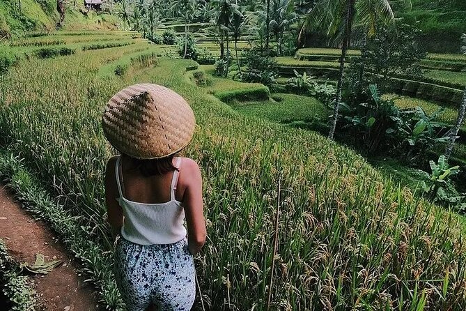 Bali Half Day Trip : All-Inclusive and Private Guided Tour - Meeting Bali’s macaques at Sacred Monkey Forest