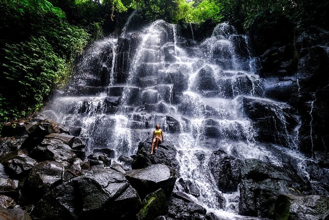 Bali Half Day Trip : All-Inclusive and Private Guided Tour - Who will get the most from this outing?