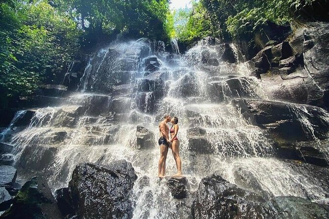Bali Half Day Trip : All-Inclusive and Private Guided Tour - Reading the stepped fields at Tegalalang
