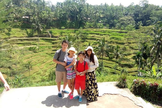Bali Holy Bathing Ritual and Ubud Highlights tour - A private car changes how the day feels