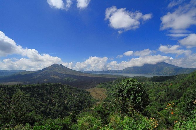 Bali Iconic Tour with Buffet Lunch and Attraction Tickets - Tegalalang Rice Terrace and the working countryside
