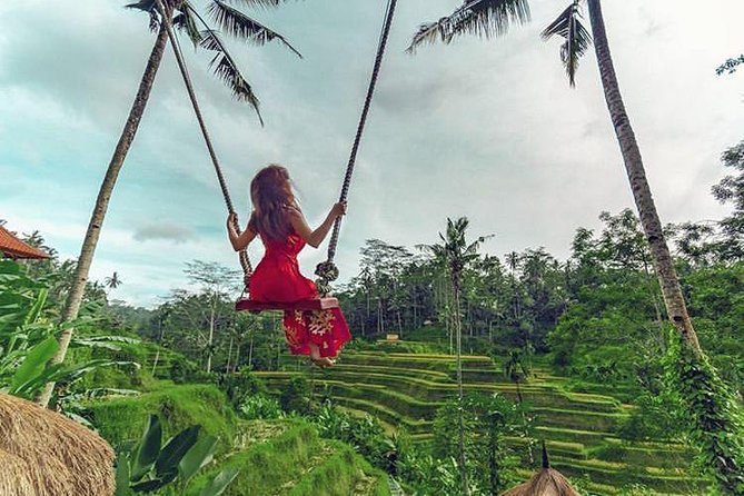 Bali Individual Route With Private English Speaking Driver - A private Bali day built around your priorities