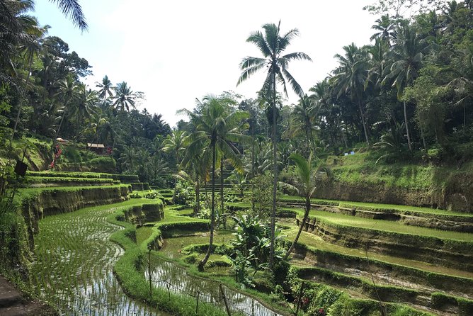 Bali Individual Route With Private English Speaking Driver - Tanah Lot and Canggu: Bali’s popular west coast
