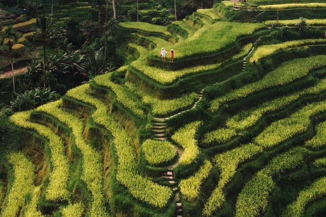 Bali Instagram Tour - All Inclusive - Buffet lunch above rice terraces and Mount Agung