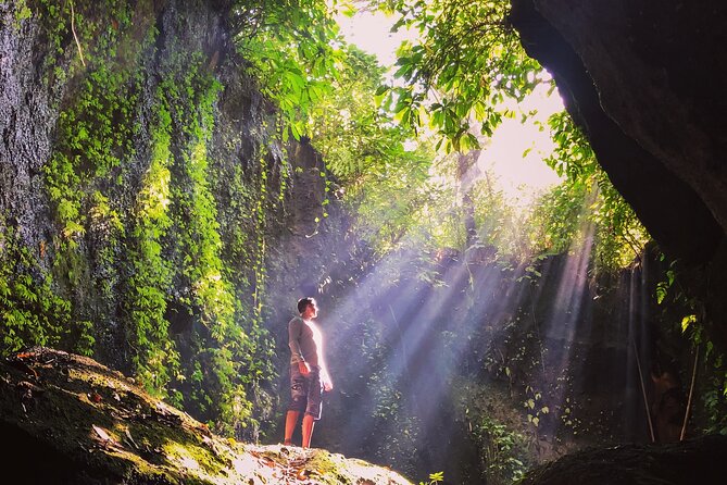 Bali Instagram Tour: Gate of Heaven, Swing and Waterfall Day Tour - Tegalalang shows Bali’s working rice country