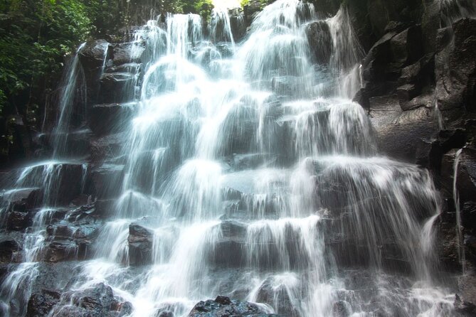 Bali Instagram Tour- Most Scenic Spots in Bali - What private transport changes