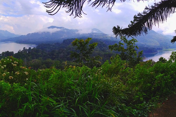 Bali Jungle Trekking and Lake Canoeing Tour - Starting at Wanagiri Peak with coffee and cake