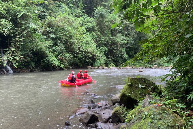 Bali Jungle White Water Rafting Adventure - Safety briefing, paddles, and the first rapids