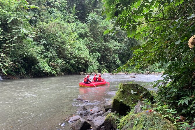 Bali Jungle White Water Rafting Adventure - Jungle walls, waterfalls, and Hindu shrines