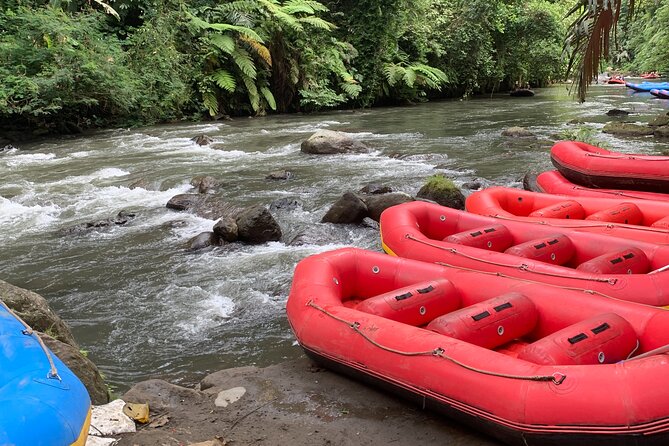Bali Jungle White Water Rafting Adventure - Who gets the best value from this trip