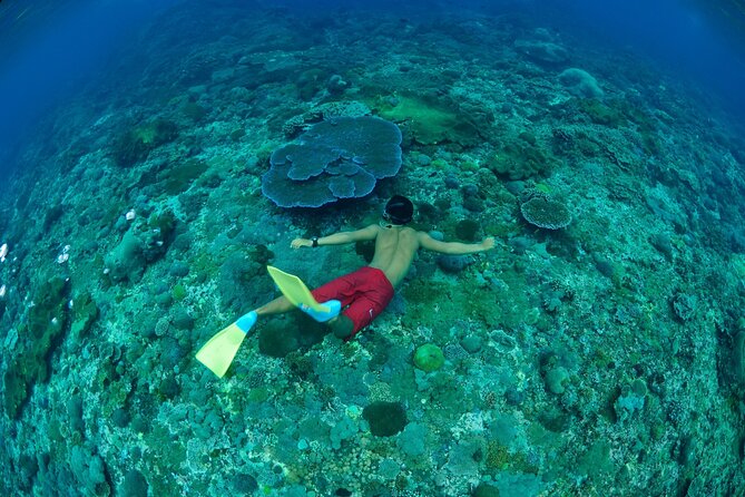 Bali Lembongan Island Beach Club Day Trip - Optional extras can change the final price