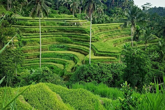 Bali Lempuyang Temple, Waterfall with Rice Terrace Tour - Tirta Gangga’s pools, statues, and royal design