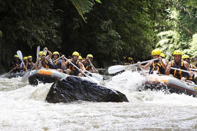 Bali Mason Adventure White Water Rafting - Booking cautions and cancellation terms