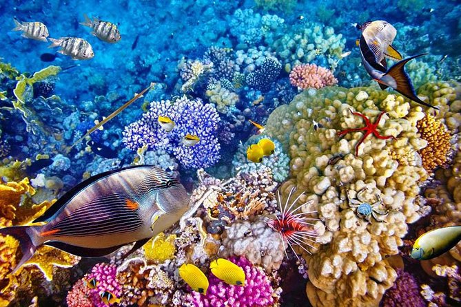 Bali Menjangan Island Snorkeling Day Tour - Stop 1: Kuta Beach and the road west