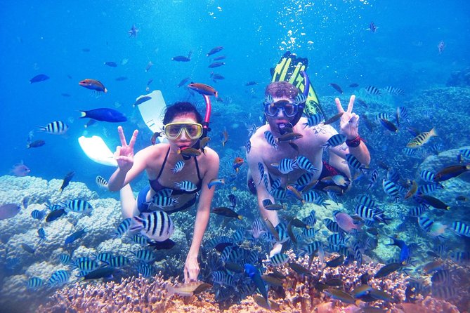 Bali Menjangan Island Snorkeling Day Tour - A quieter beach break between swims