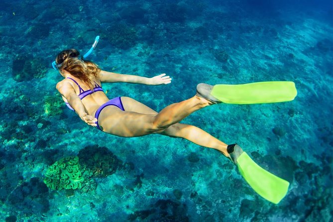 Bali Menjangan Island Snorkeling Day Tour - What the $132 price really covers