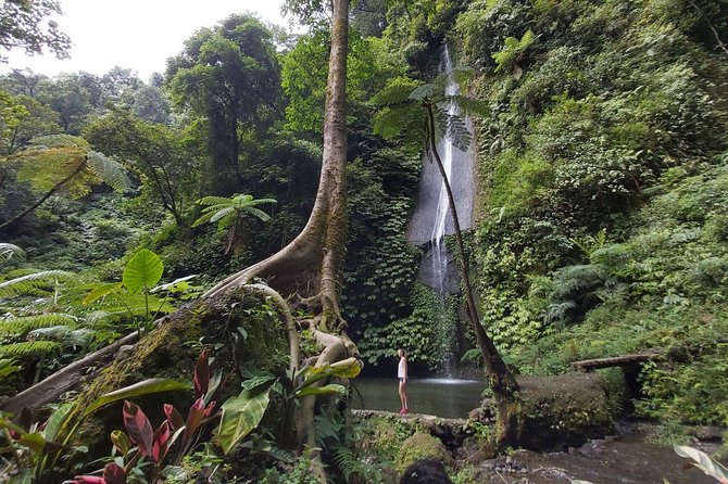 Bali Most Scenic Waterfalls Trekking - The waterfall trek: Pucak Manik to Spa Waterfall