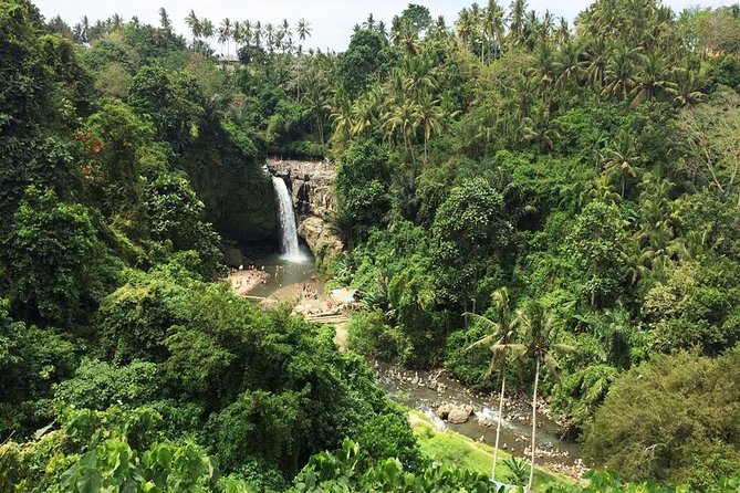 Bali Night Market Experience and Ubud Highlights tour - What the Guide Adds to the Experience