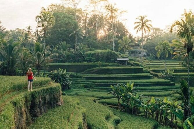Bali : Northern Bali Private Day Trip with Transfer - The private car, driver, and day-long pace