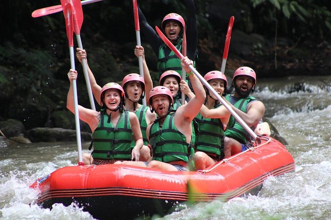 Bali Private Car Charter Tour with English Speaking Driver - Tegenungan Waterfall and Bali’s many water stops