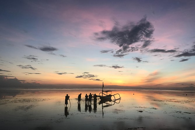 Bali Private Car Charter With English Speaking Driver - What is included and what is not