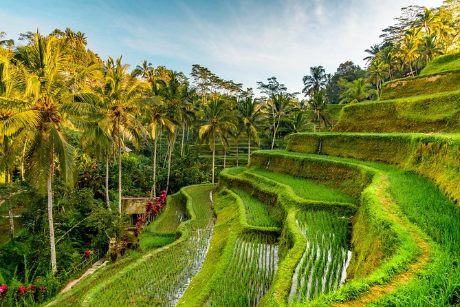 Bali Private Car Hire with Driver - What the $25.67 price really buys