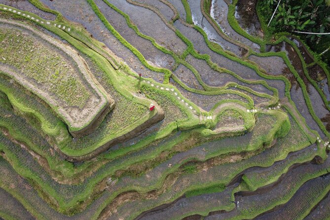 Bali Private Photographer & Drone - Two hours of photos across Ubud