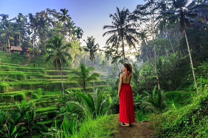 Bali Private Tour - Best of Ubud - All Inclusive - Why this private Ubud tour works well in one day