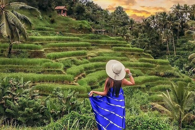 Bali Private Tour - Best of Ubud - All Inclusive - Tegenungan Waterfall and the day’s most scenic finish