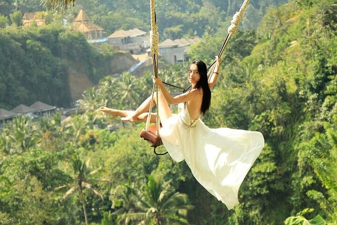 Bali Private Tour - Best of Ubud - All Inclusive - The private vehicle and guide make the difference
