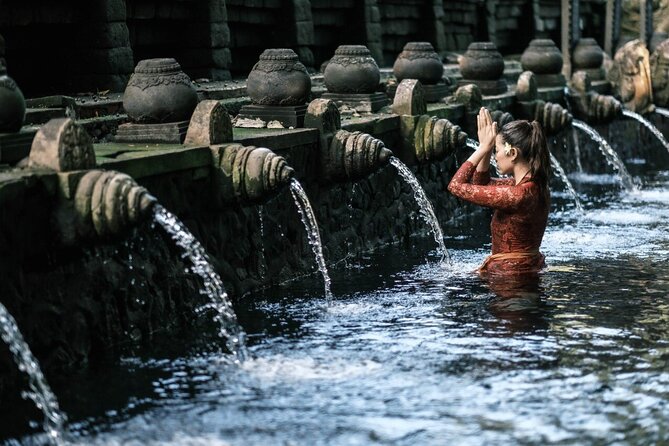 Bali Private Tour - Best of Ubud - All Inclusive - Cruise passengers and tight schedules