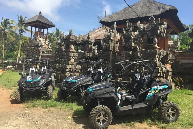 Bali Quad and Buggy Explorer Tour - Choosing between the Kawasaki ATV and Cfmoto buggy