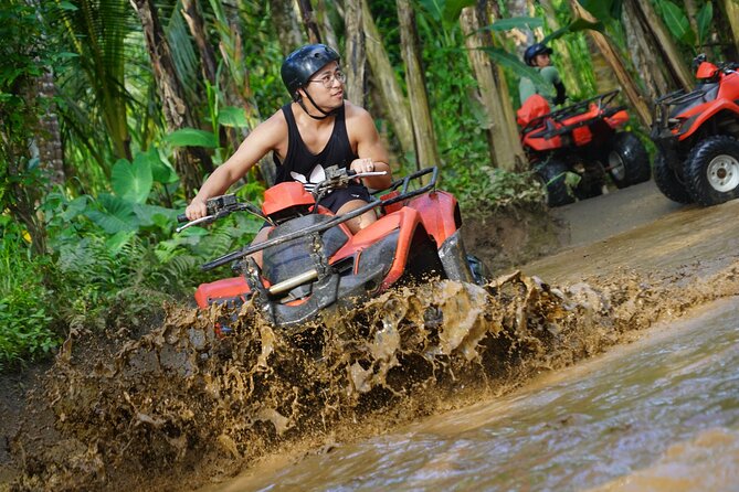 Bali Quad Bike Adventure - Monkey Forest and Tegenungan Waterfall - Ubud Sacred Monkey Forest and its macaques