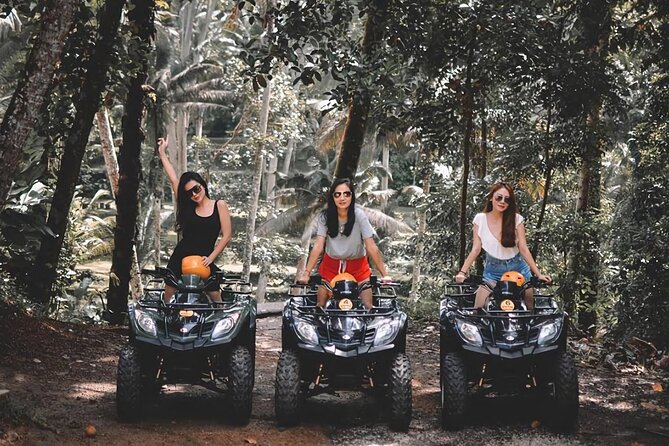 Bali Quad Bike Adventure - Monkey Forest- and Waterfall - Sacred Monkey Forest Sanctuary in Ubud
